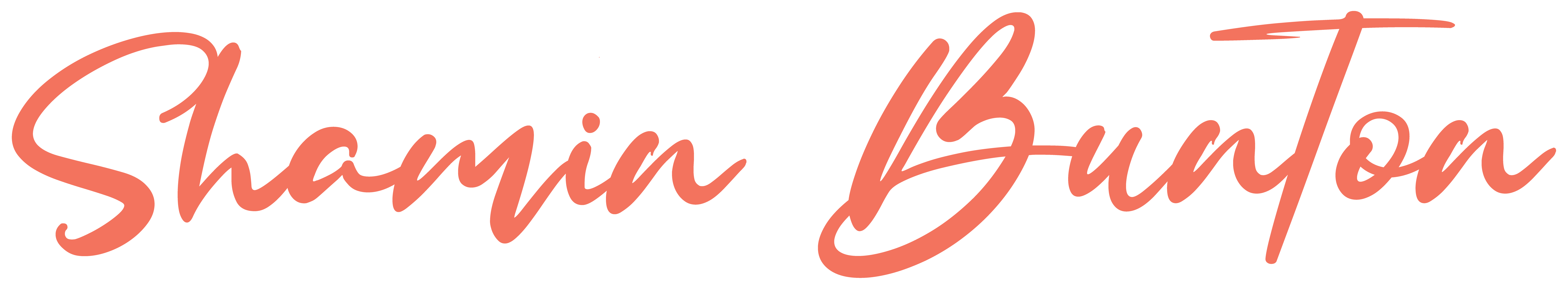 Shamin Bunton Main Logotype Wordmark